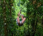 zip-fiji-canopy-tour1